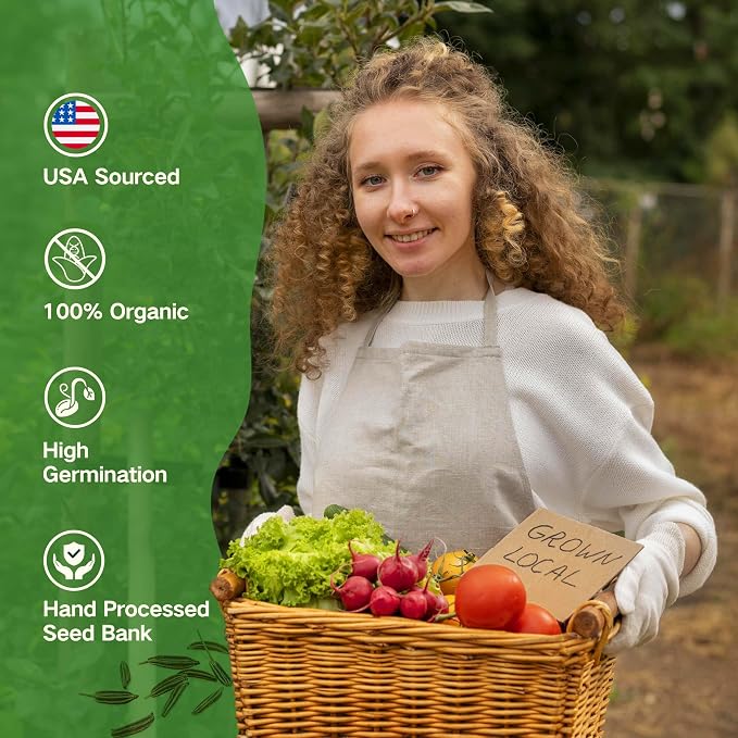 Lush&Dew Raised Garden Bed Heirloom Seed Bank, 32 Type 30000+ Non-GMO Seeds | USA-Sourced Seeds for Planting Vegetables Herbs Fruits, Gardening Gifts for Women Men, Survival Seed Vault Kit, Food Supplies