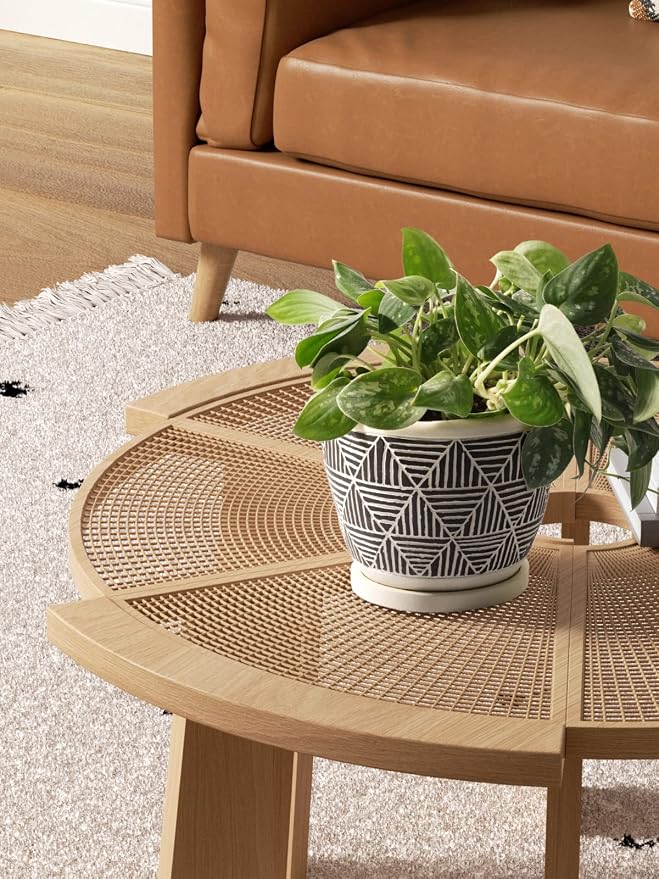 LE TAUCI 5.5 Inch Boho Plant Pots Indoor, Artisanal Cement Pots for Plants, Succulent Pots with Drainage Holes and Saucers, Planters for Indoor Plants, Set of 2, Black and Cream White