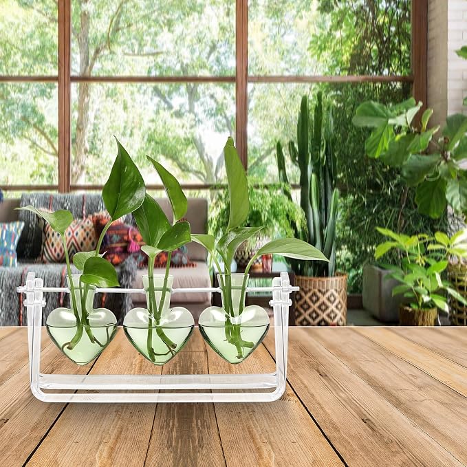 Clear Plant Terrarium Propagation Stations with Acrylic Stand | Birthday Gifts for Women Office Home Decor