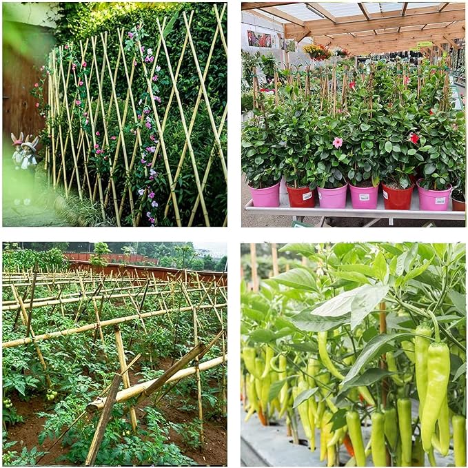 Cambaverd Bamboo Stakes 4ft Natural Plant Stakes for Tomatoes, Beans, Climbing Plants Support - 25 Pack Bamboo Sticks for Plants