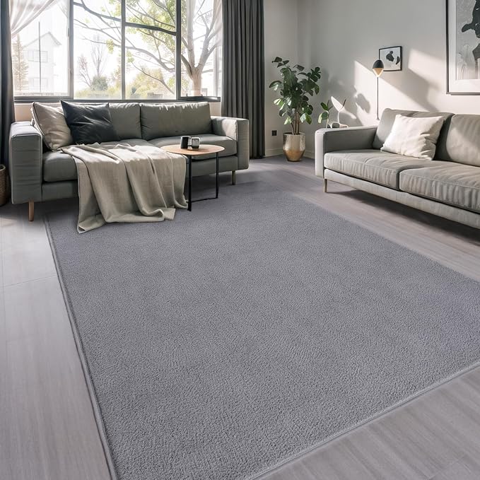 AROGAN 4x6 Area Rugs for Living Room Non Slip Dorm Bedroom Rug, Grey | Modern Area Rugs with Soft Memory Foam, Minimalist Washable Indoor Floor Carpet for Dining Room Office Kids Playroom Decor