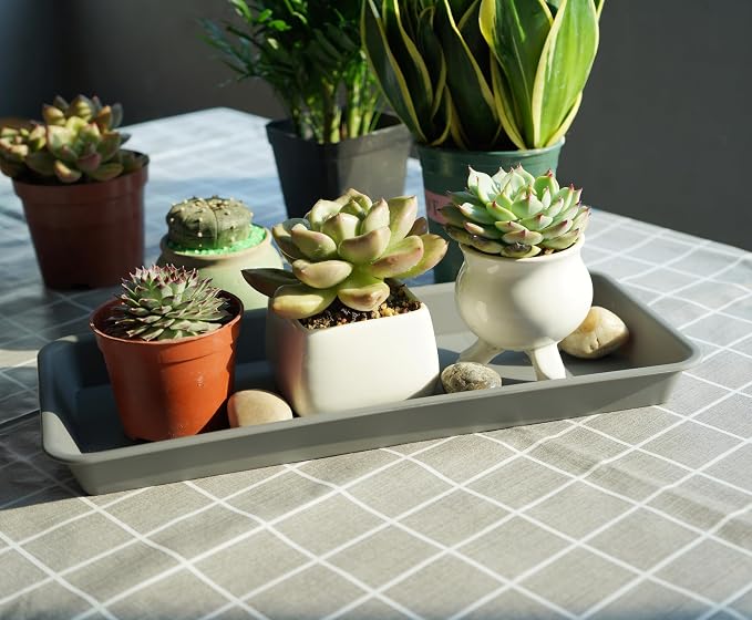 VUWEZ 2 Pack of Plastic Plant Tray Saucer Rectangular 30 inch, Planter Trays Saucers for Indoors Outdoor, Plant Water Drip Tray for Flower Pot Planter, Windowsill Pots Trays (8 X 30'', Gray)