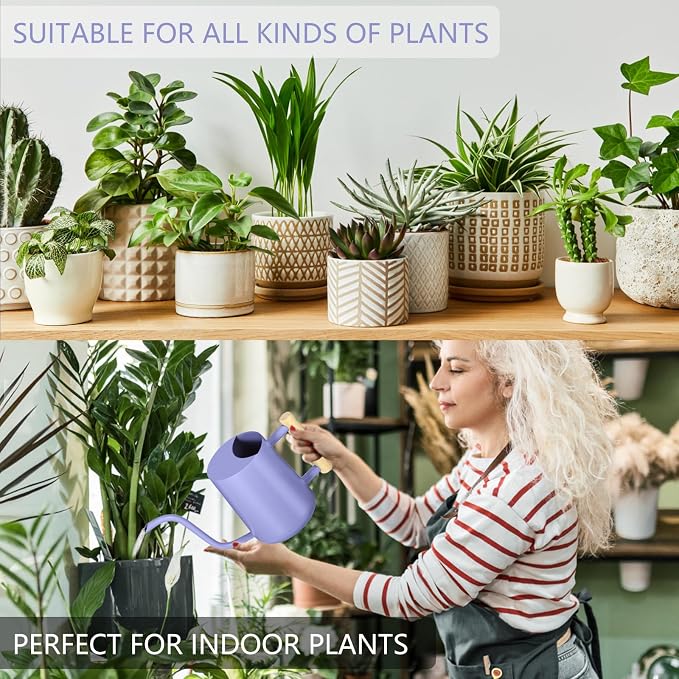 Watering Can Indoor Plants, 35oz Small Stainless Steel Metal Watering Can Modern Decorative Watering Pot with Long Spout for Indoor House Plant Bonsai Garden Flowers (Purple)