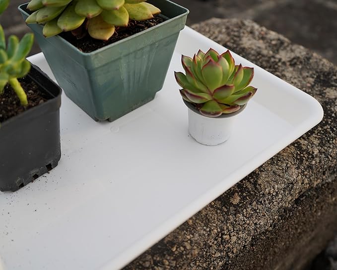 VUWEZ 2 Pack Plant Saucer, Nursery Trays, Heavy Sturdy Seed Starting Tray for Indoors No Holes, Starter Growing Tray (17.5"x10.6", Creamy White)