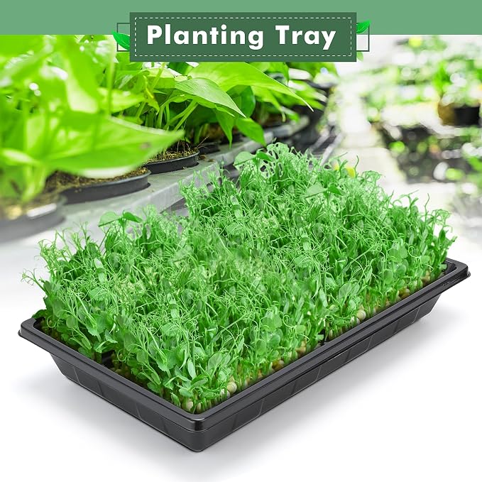 Sckee Upgraded 50 Pack Plant Growing Trays Seed Starting Tray Microgreens Growing Trays Seedling Plant Germination Starter Tray Transplant Fodder Flats, No Holes, No Leakage, Reusable (1017)
