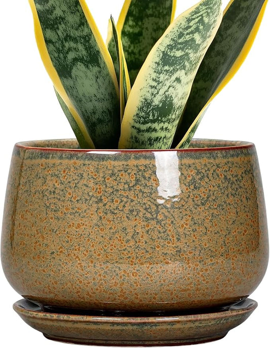 G EPGardening 7 Inch Ceramic Pots for Plants - Ceramic Planters for Indoor Outdoor Plants, Round Plant Pots with Drainage and Saucer, Modern Planter, House Decor, Plant Lover Gifts, Speckled Brown