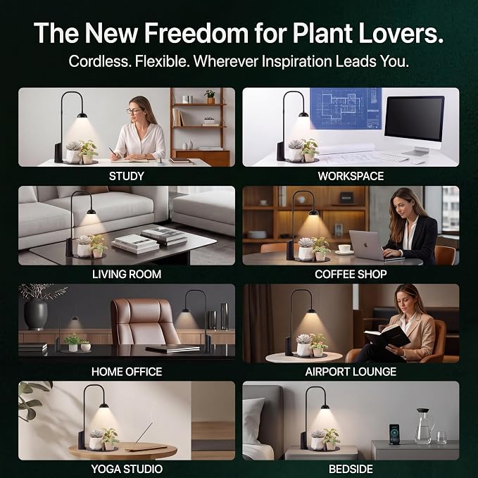 Cordless Small Grow Light for Indoor Plants, Magnetic Docking Desktop Plant Light with 4/6/8H Timer, Adjustable Gooseneck Full Spectrum LED Lamp for Office Desk, Succulents, Herbs