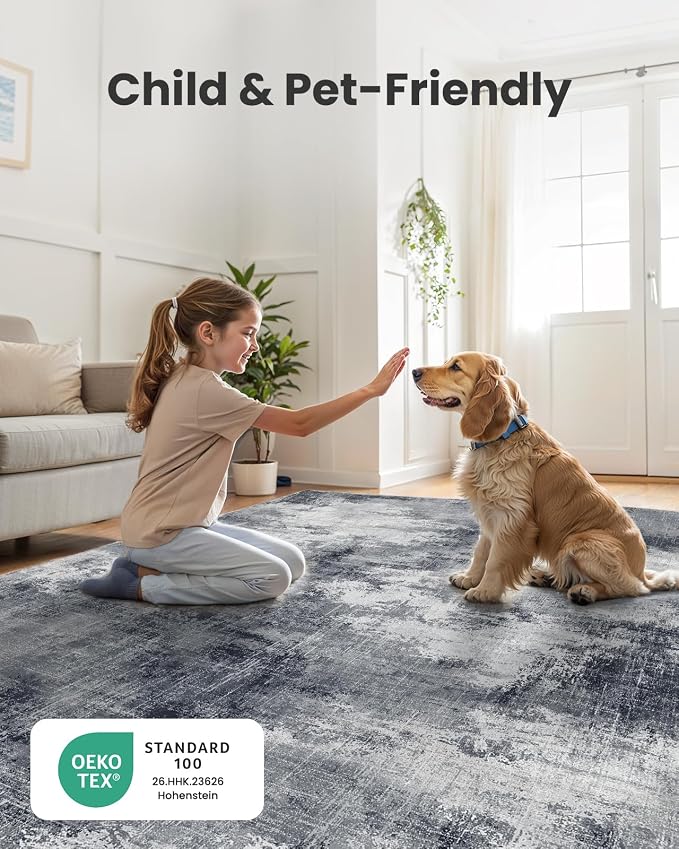 6x9 Area Rugs for Living Room, Modern Abstract Washable Rug with Non-Slip Backing & Low Pile Indoor Carpet for Nursery Room, Bedroom and Dinning Room, Grey