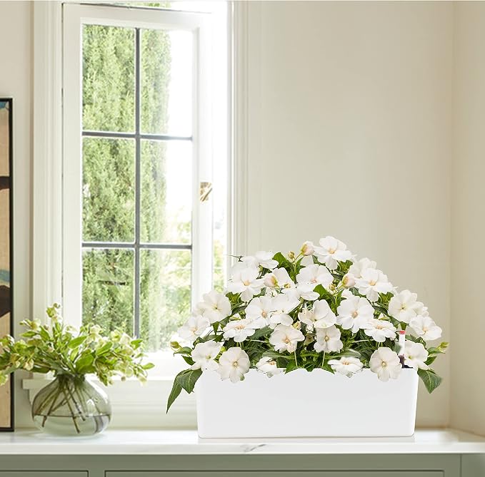 Elongated Self Watering Planter Pots Window Box 5.5 x 16 inch Indoor Home Garden Modern Decorative Planter Pot for All House Plants Flowers Herbs (White,1-Pack)