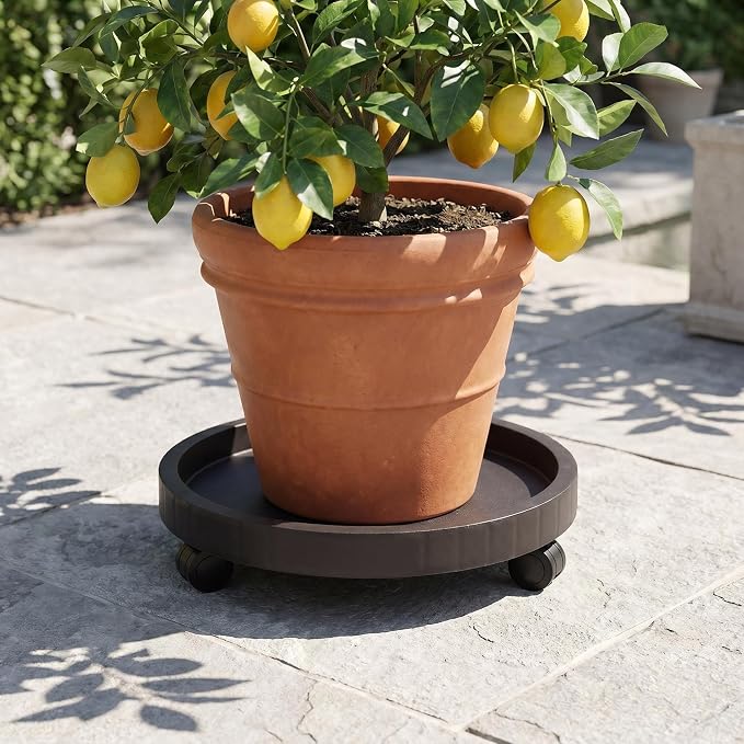 2 Pack of 11 Inch Planter Caddies Rolling Saucer Caddy with Wheels, Heavy Duty Wheeled Stand for Potted Plant, Round Coaster Roller Base Tray with Casters, Flower Pot Dolly Holder for Indoor Outdoor