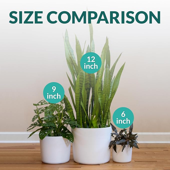 Willowy 9 Inch Matte White Ceramic Planter with Drainage - Ceramic Plant Pots for Indoor, White Indoor Planter, Flower Pot, 9 Inch Plant Pot