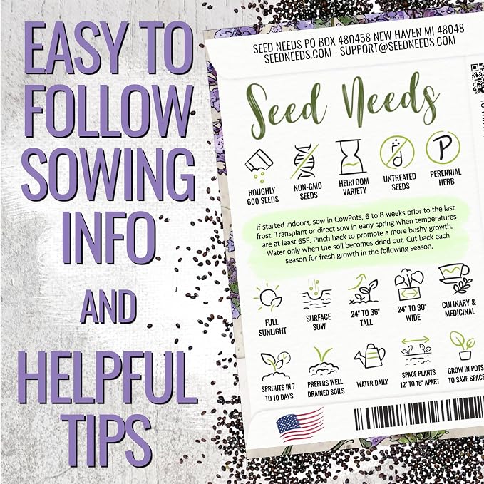 Seed Needs Catmint Seeds to Plant Heirloom Non-GMO Herbs 5 Packs