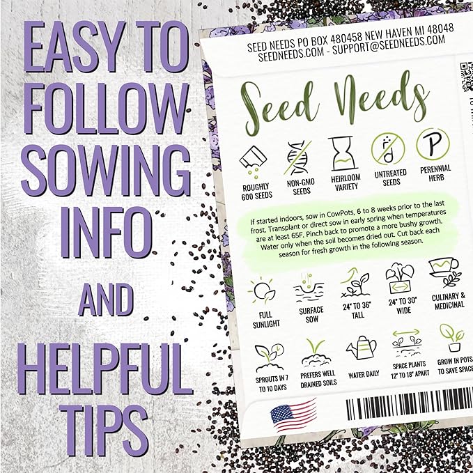 Seed Needs Catmint Seeds to Plant Heirloom Non-GMO Herbs 10 Pack