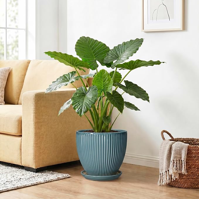 10 Inch Plant Pot, Ceramic Flower Pots with Drainage Hole and Saucer, Round Modern Planters for Indoor Plants, Decorative Plant Pots, Home Patio Decor, Plant Lover Gifts, Glaze Blue