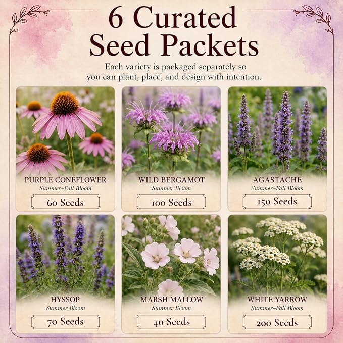 Old-World Apothecary Garden Seeds, 6 Medicinal Herb & Perennial Flower Seed Packets for Cottage, Pollinator, Herbalist & Herb Gardens