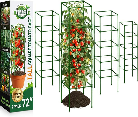 Halatool 4 Pack 72" Extra Tall Square Tomato Cages, Heavy Duty Metal Plant Support for Indeterminate Tomatoes, Climbing Plants, Vegetables, Up to 6ft Garden Cages for Indoor Outdoor Raised Beds, Pots
