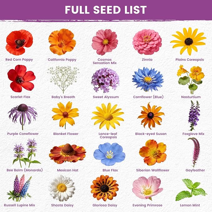 Wildflower Seeds Bulk Mix - 10,000+ Perennial & Annual Seeds - Texas, California & Florida Native Wildflower Seeds for Hummingbirds, Butterflies, & Cut Flowers - Cosmos, Throw and Grow