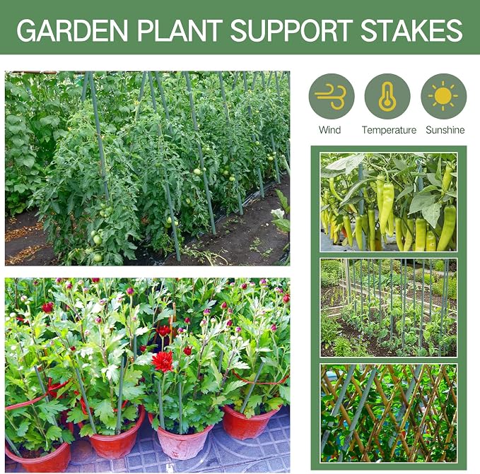 Suclain 50 Pcs 3 Feet Bamboo Stakes for Plant Support Bamboo Sticks Poles Indoor and Outdoor Tall Garden Stakes with 100 Twist Ties for Tomato Bean Flowers Trees Potted and Climbing Plant Support