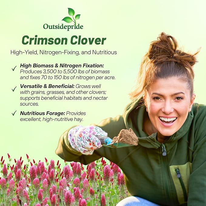 Outsidepride Crimson Clover Seeds - 5 lbs. Annual, Nitrocoated, & Inoculated Ground Cover Seeds, Ideal for Lawn, Cover Crop, Pasture, Hay, Green Manure & Wildlife Forage