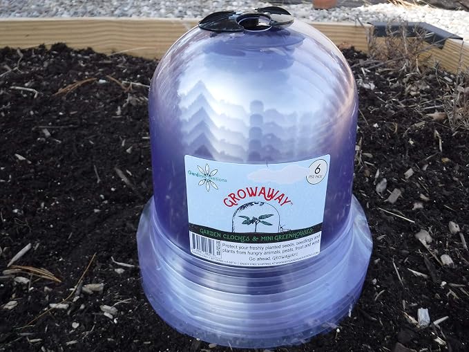 6-Pack! GrowAway Small Reusable Plastic Mini Greenhouse, Garden Cloche Dome, Plant Covers Frost Guard Freeze Protection for Plants Outdoors, Garden Tools, Garden Accessories - 7.87" Diam. x 6.69" H