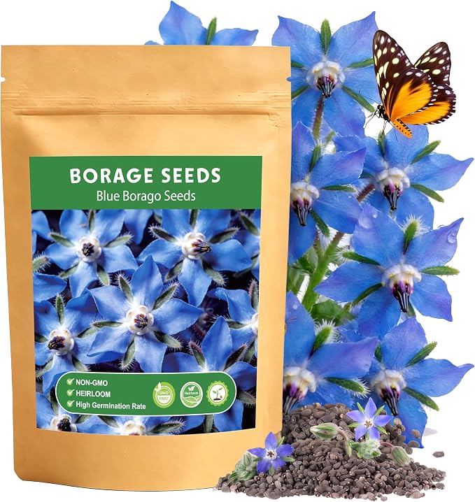 LUOJIBIE Borage Seeds, 4,000+ Blue Borage Seeds for Planting Outdoor & Indoor, Flower Seeds Bulk for Garden, Non-GMO & Heirloom, Easy to Grow