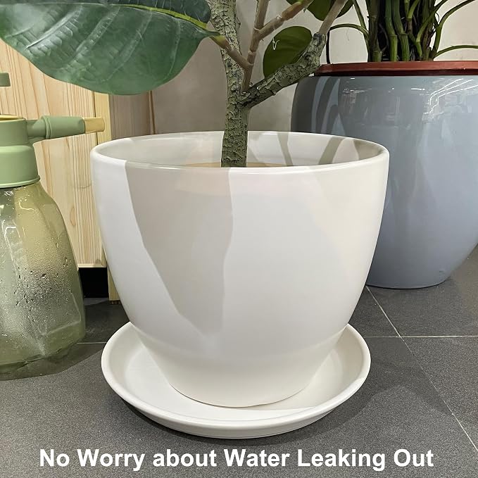 Plant Water Catcher Trays - Ceramic Plant Saucers 12 Inch Plant Trays for Indoors No Holes Plant Drip Trays Drainage Decorative Flower Pot Saucers Large Plant Dishes 2 Pack White