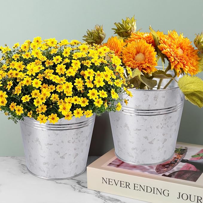 20 Pack 4.5 x 5.1 x 2.6 inch Metal Mini Buckets, Elegant Galvanized with Handles, Tin, Small, Mini Metal Pail for Party Favors, Crafts, Garden & Beach
