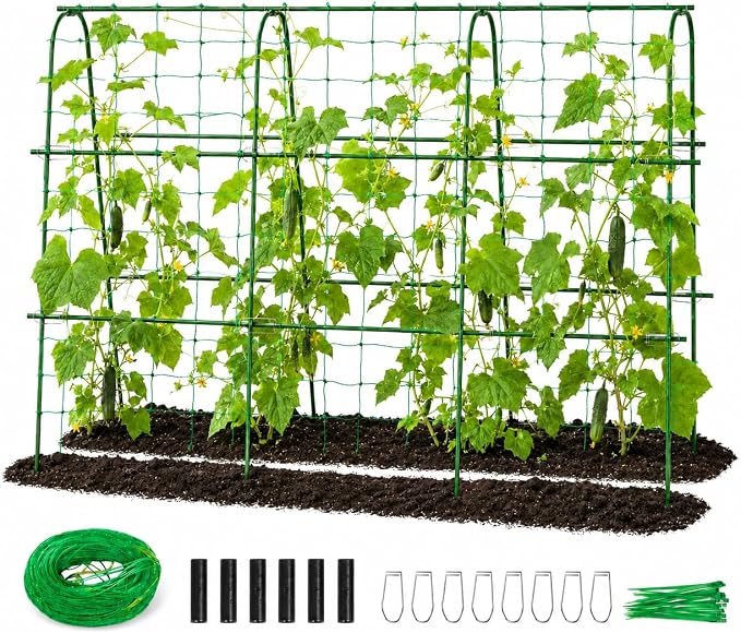 FOLLOOK Cucumber Trellis for Raised Garden Bed, Rustproof Metal Garden Arch Trellis for Climbing Plants Support Outdoor Fruit Grape Vine Vegetable Tomato Bean Pea Trellis, 63x48inch, Green