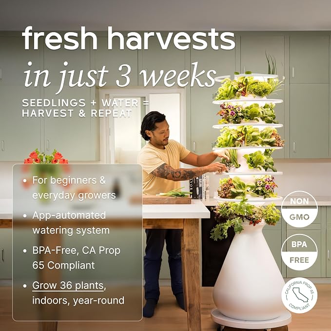 Lettuce Grow Farmstand Large Hydroponic Tower Planters, 6 Ft 7 in Vertical Planter Herb Garden Planter Hydroponics Growing System with Glow Rings Plus 36 Seedling Credits