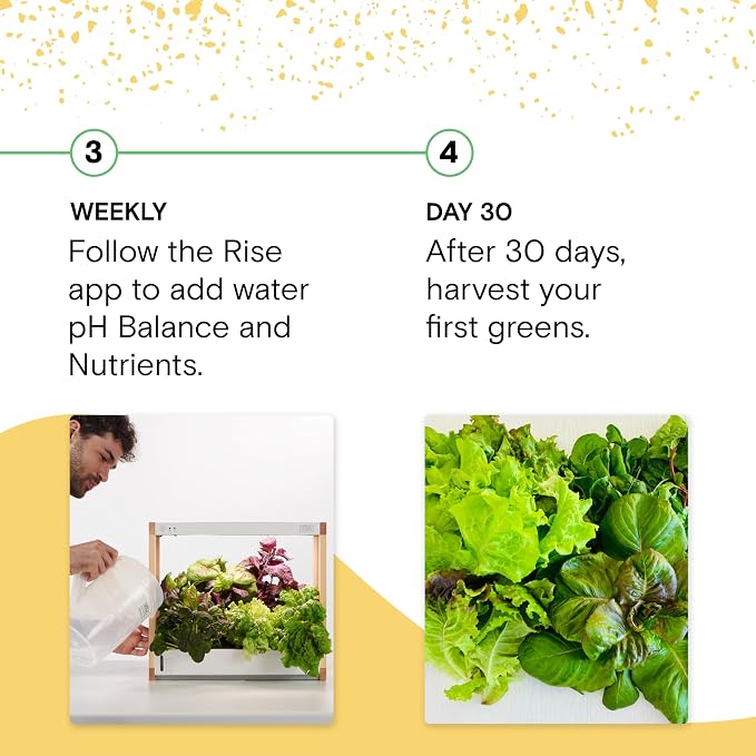 Rise Gardens Personal Rise Garden Hydroponic Indoor Garden Kit with LED Grow Light, Countertop Size