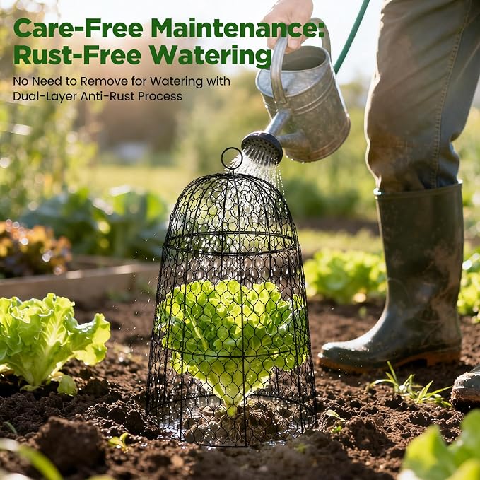 6 Pack XL Metal Garden Cloches for Plants, 17" Height Rustproof Chicken Wire Cloches for Seedlings, Vegetables & Flowers, Plant Protectors from Animals Includes 6 Humidity Domes & 24 Stakes - Black