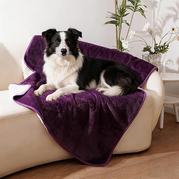 Sunsleek Waterproof Fleece Sherpa Blanket for Bed Sofa Couch Travel, Reversible Soft Throw Blanket for Dog Puppy Cat, Washable Pet Blanket (Purple,60x80 inches)