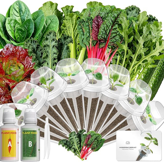 LYKOCLEAN 8-pod Salad Seeds Pod Kit for AeroGarden, iDOO, Ahopegarden Hydroponics Growing System, 350+ Seeds (Include Spinach, Lacinato Kale, Arugula, Swiss Chard, Red Leaf Lettuce, Cucumber)
