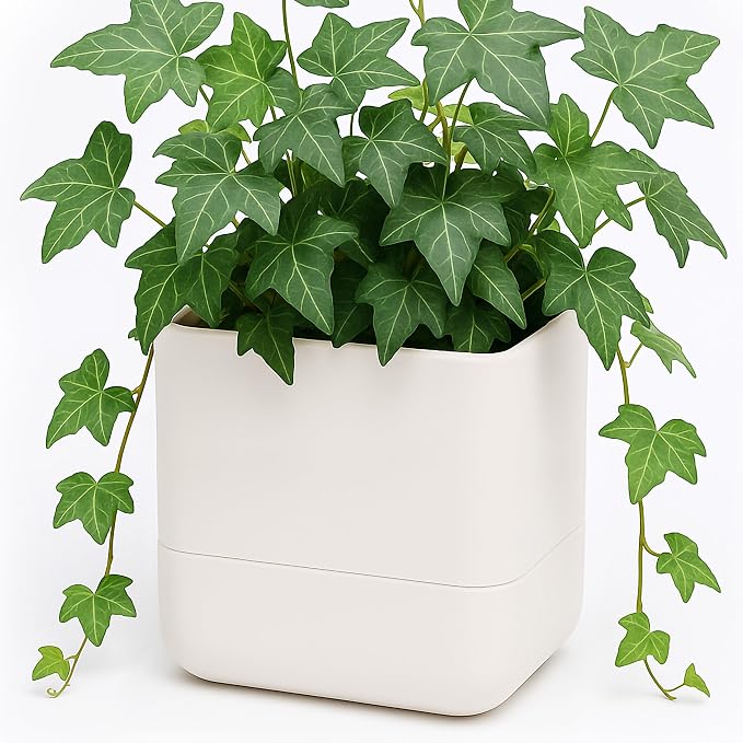 Phoenix Vine 6.5 Inch Wall Mounted Self-Watering Planter Pot for Indoor Houseplants and Herbs | Hanging Planter for Window Sills, Bathroom Walls, Home & Office Décor, Oatmeal, Set of 1, 01-C-G-1