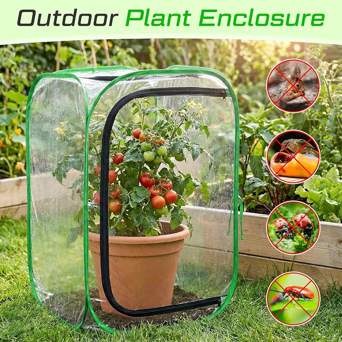2 Pack Pop up Plant Greenhouse Cover Foldable Mini Clear Greenhouse 15.7" x 15.7" x 23.6" PVC Small Portable Plants Cover Accelerator for Indoor Outdoor Vegetable Fruit Garden Protecting