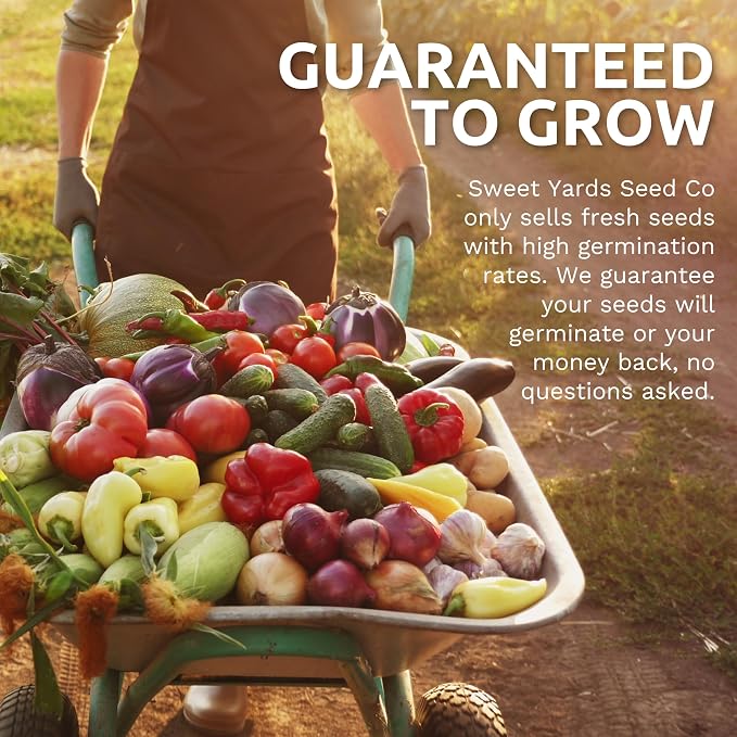 Organic Lettuce & Greens Seeds Variety Pack - 5 Individual Packs - 2026 Season - Buttercrunch, Gourmet Mix, Romaine, Tom Thumb & Iceberg. for Indoor & Outdoor Planting (Non-GMO, Certified Organic)
