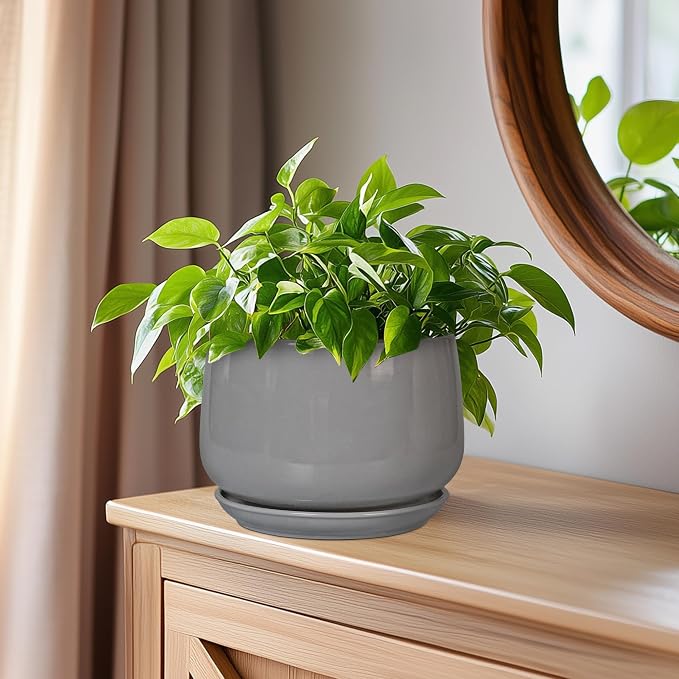 G EPGardening Ceramic Pot for Plants - Modern 6 Inch Round Planter Indoor with Drainage and Tray for Indoor Outdoor Flower, Patio Decor, Teacher Gifts, Grey