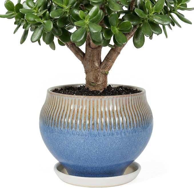 10.6 Inch Modern Ceramic Plant Pot with Drainage Hole and Mesh Net, Indoor Outdoor Planter with Saucer & Gardening Glove, Pots for Succulents, Flowers, Large Plants, Blue