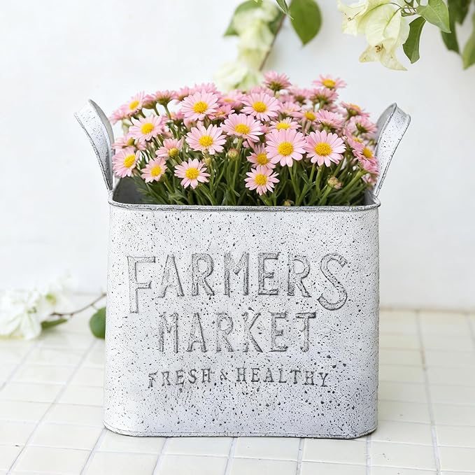 Vintage Metal Flower Planter Buckets with Handle Set of 2 Rustic Metal Flower Pots Farmhouse Plant Containers for Herb Succulent, Indoor Outdoor Garden Home Yard Bathroom Kitchen Decor (White)