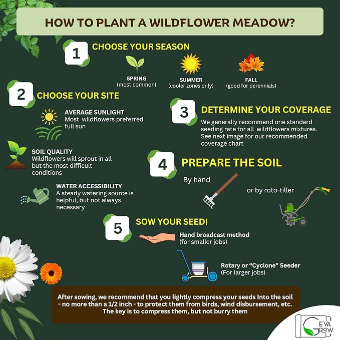 Mini Wildflower Seed Shaker - Save The Bees Seed Mix, by GevaGrow | 80,000+ Seeds | Pollinator & Bee Attracting Flower Seeds Bulk for Planting in Pots & Outdoor Gardens | 2 Ounce