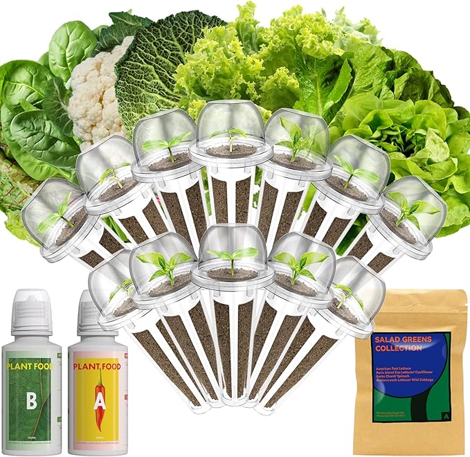 Lyko Heirloom Salad Greens Seed Pod Kit for AeroGarden, iDoo, Ahopegarden, GARDENCUBE, 12 Pods with American Fast/Paris Island/Buttercrunch Lettuce, Spinach, Swiss Chard, Cauliflower, Wild Cabbage