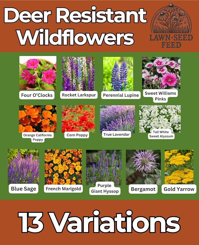 Deer Resistant Wildflower Seeds (2oz) Hardy Garden Flowers Designed to Deter Deer & Support Pollinators