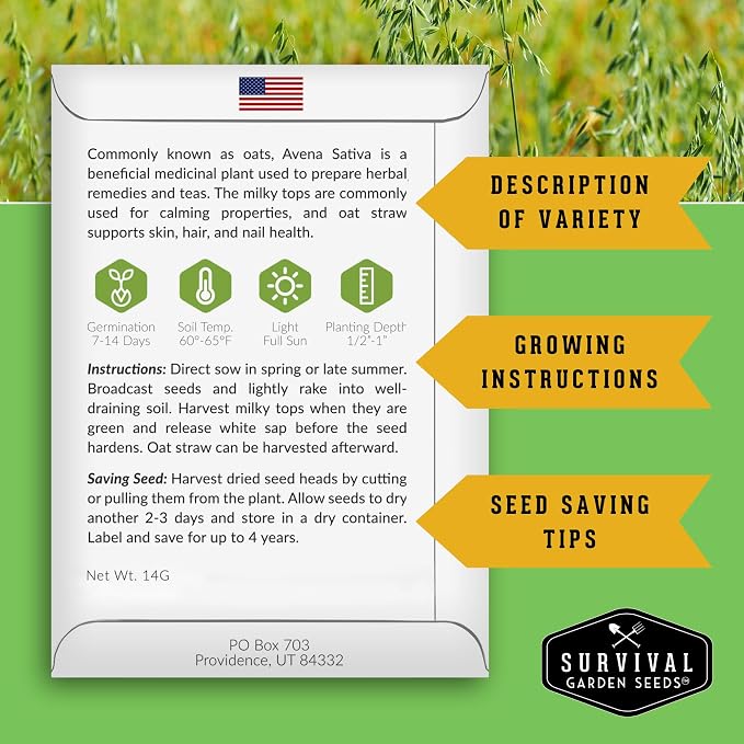 Oat Seeds for Planting – Heirloom Avena Sativa Milky Oats Medicinal Herb & Oatstraw for Tea, Tinctures, and Cover Crops – Heirloom Non-GMO Seeds – Survival Garden Seeds (3 Packs)