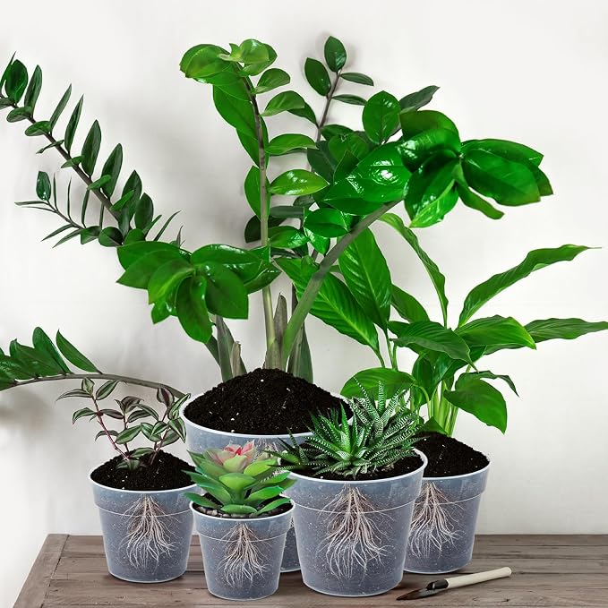 Vesici 24 Pcs 3/4/5/6/7/8/9/10 Inch Large Thickened Clear Nursery Pots Variety Pack Plant Pots with Drainage Holes Planters for Indoor Plants Flexible Transparent Plastic Plant Bottle Succulents