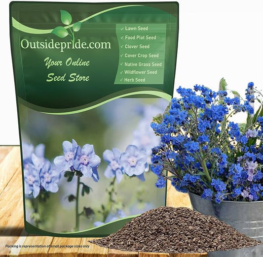 Outsidepride Cynoglossum Blue Chinese Forget Me Not Seeds - 1/4 Lb. Self-Sowing Annual Flower Seeds for Planting Dense Blue Blooms & Upright Growth Habit for Borders, Pollinator & Cottage Gardens