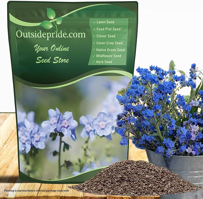 Outsidepride Cynoglossum Blue Chinese Forget Me Not Seeds - 1 Lb. Self-Sowing Annual Flower Seeds for Planting Dense Blue Blooms & Upright Growth Habit for Borders, Pollinator & Cottage Gardens