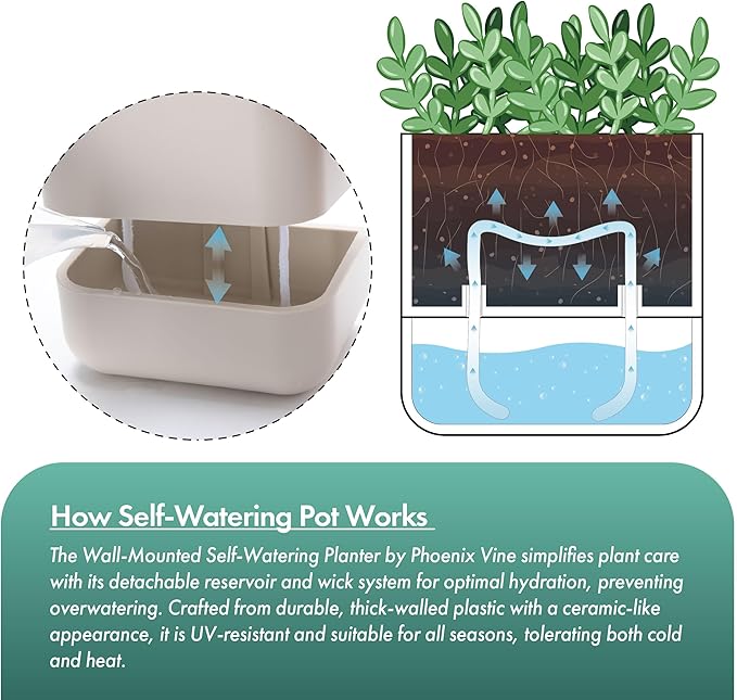 Phoenix Vine 4.5 Inch Wall Mounted Self-Watering Planter Pot for Indoor Houseplants and Herbs | Hanging Planter for Window Sills, Bathroom Walls, Home & Office Décor, Oatmeal, Set of 3, 01-B-G-3