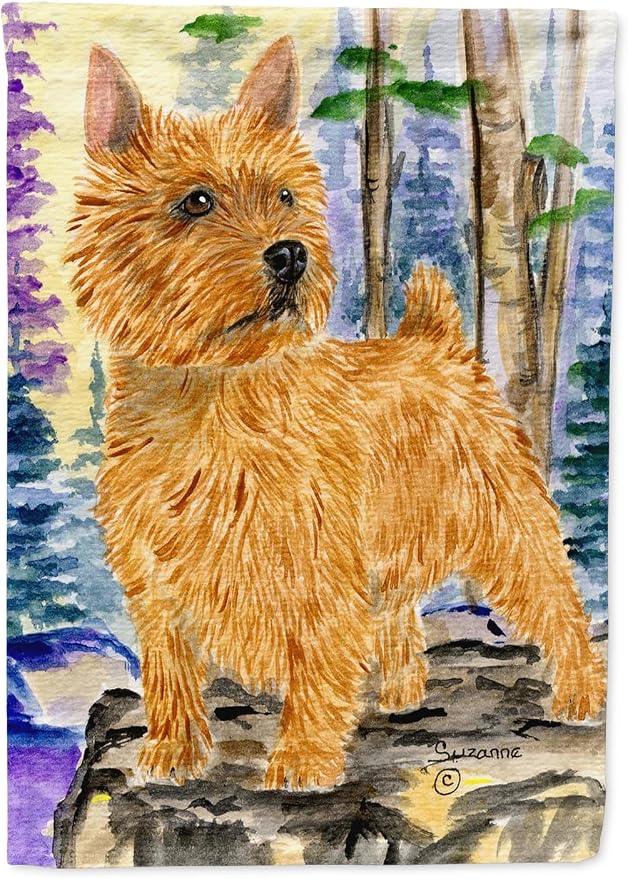 Caroline's Treasures SS8011BGF Norwich Terrier Garden Flag Mailbox Flag Decorative Yard Flag Banner Outside Patio Artwork Yard Flower Beds, Garden Size, Multicolor