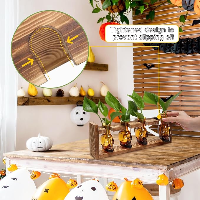Plant Propagation Stations Halloween Skull Plant Terrarium Kit | Glass Vases Gift for Father Air Planter Home Office Decor