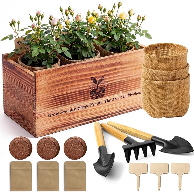 Flower Growing Kits, Windowsill Plant Starter Kit, Indoor Garden Starter Kit with Seed(Rose), Plant Gifts for Women, Mom Gifts